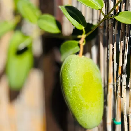 Gigantes Buenavista Ocean View Swimming Pool - Ac Apartament *