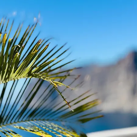 Gigantes Buenavista Ocean View Swimming Pool - Ac Acantilado de los Gigantes