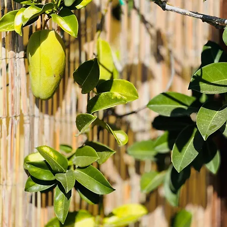 Apartament Gigantes Buenavista Ocean View Swimming Pool - Ac