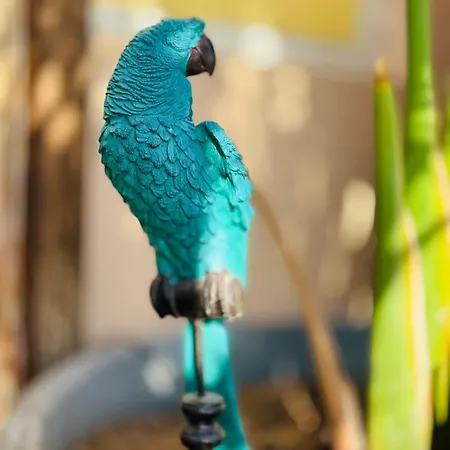 Gigantes Buenavista Ocean View Swimming Pool - Ac Apartament Acantilado de los Gigantes