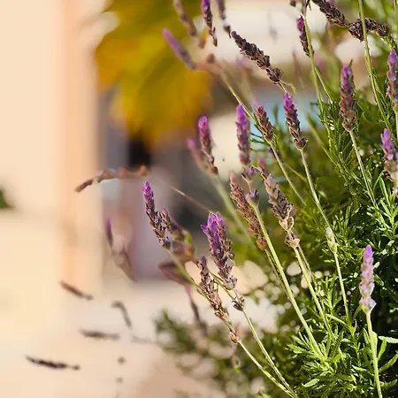 Apartament Gigantes Buenavista Ocean View Swimming Pool - Ac